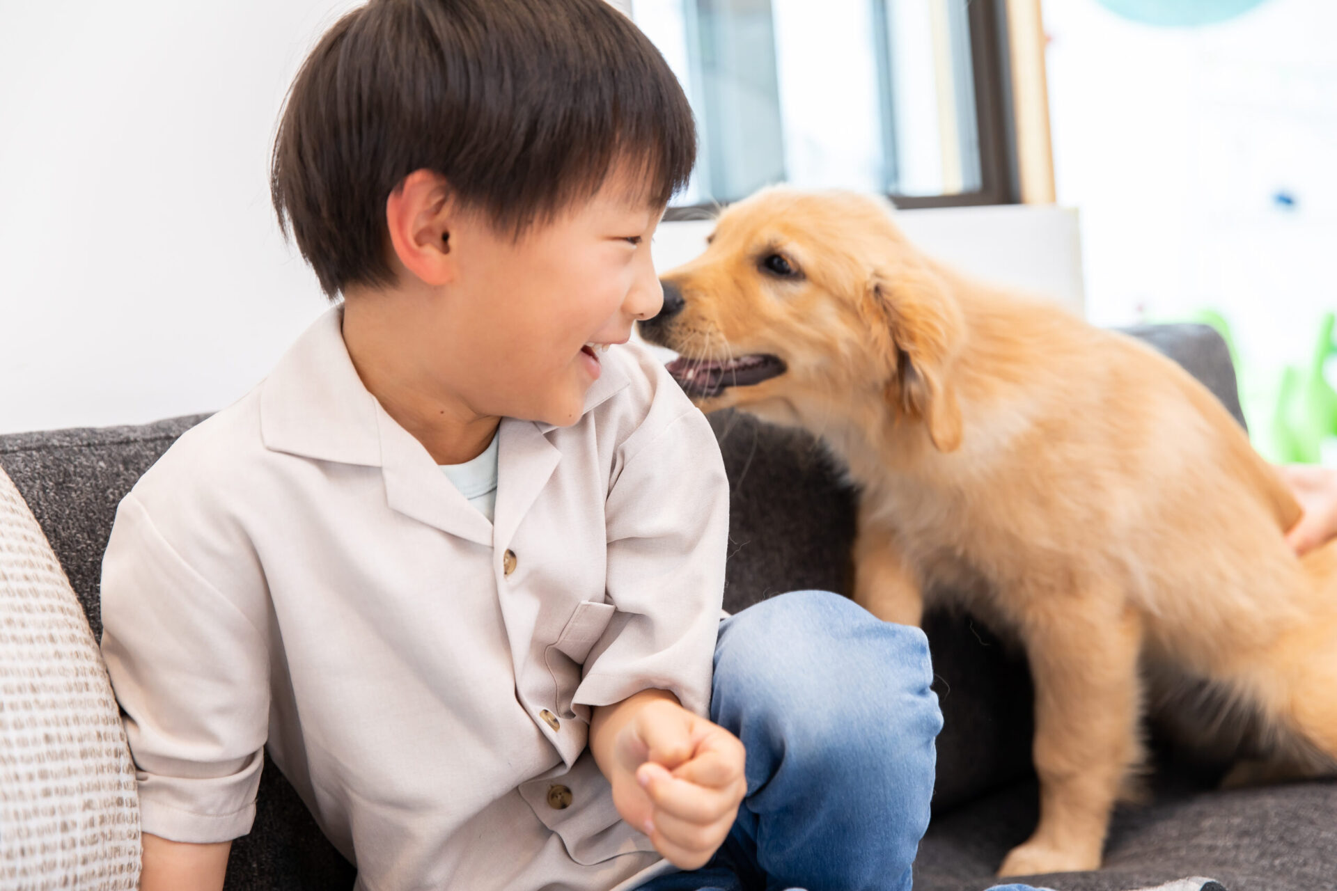 仔犬と戯れる子ども